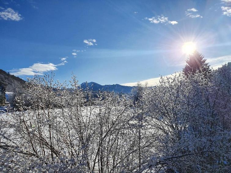 Hammer - Alpenblick